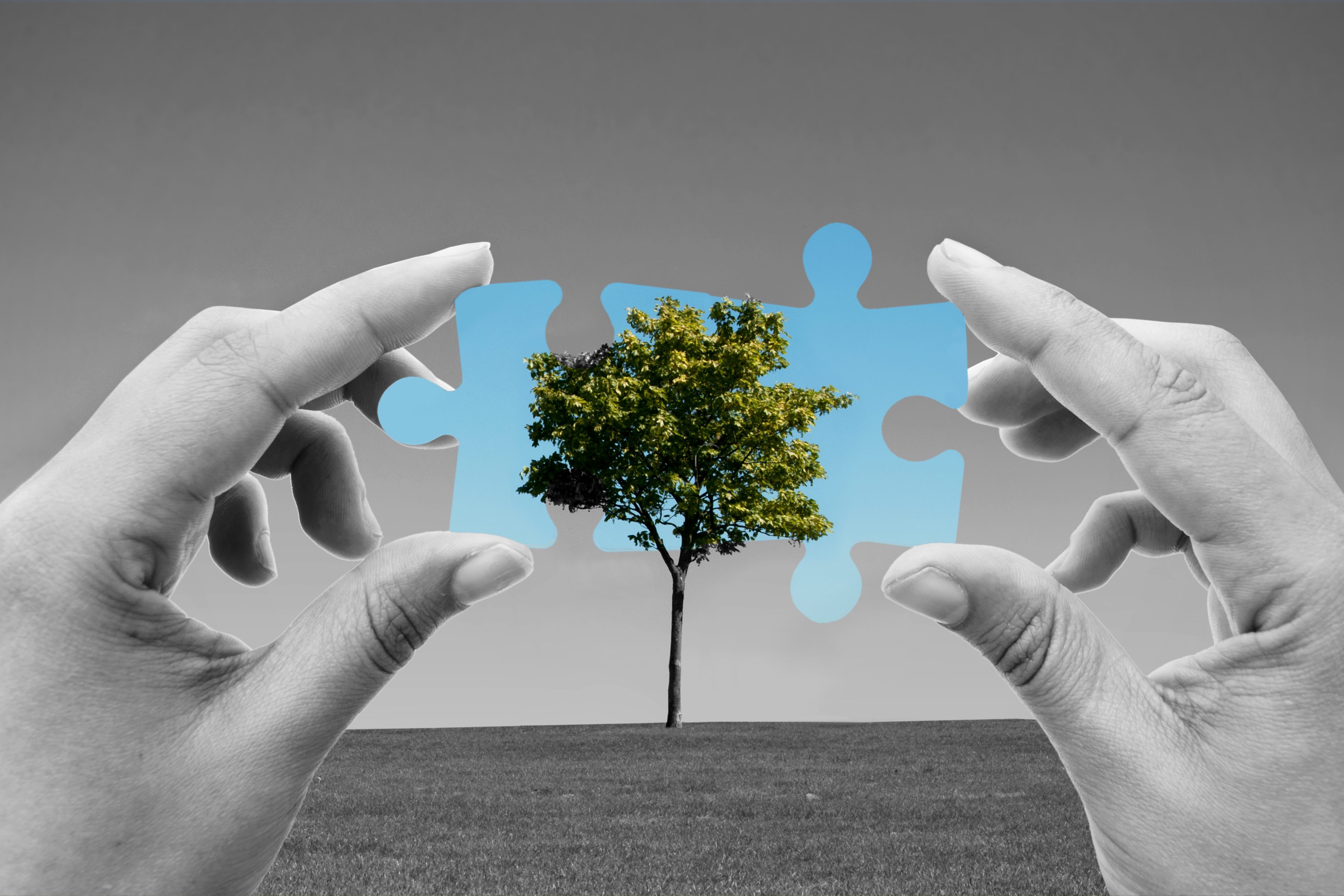 independent-energy-company independent-energy-company